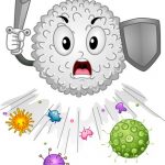 supporting your immune system