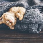 Relax helpful tips from Worcester Acupuncture