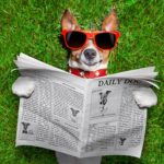 spotlight on endometriosis